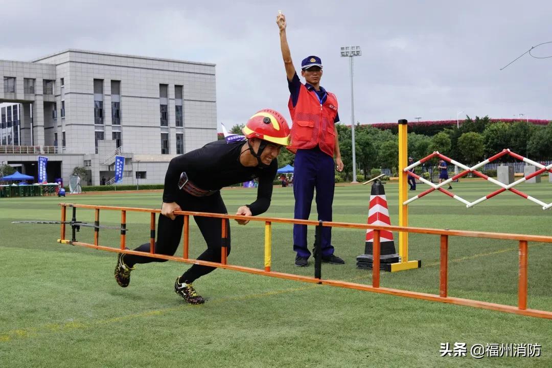 福州事业编考试成绩查询指南，步骤、注意事项与后续行动攻略