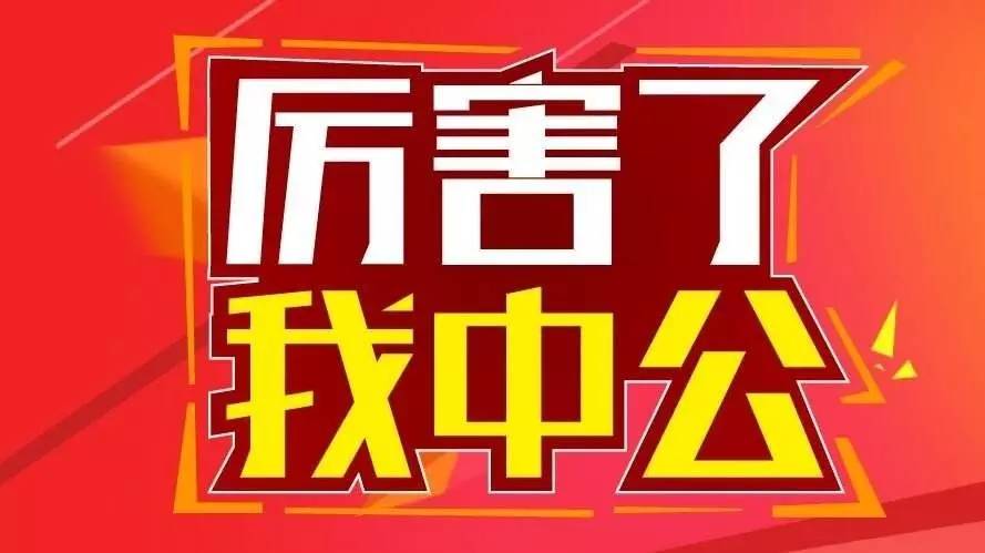 供电局2024社会人才招募正式启动，寻找未来的电力精英