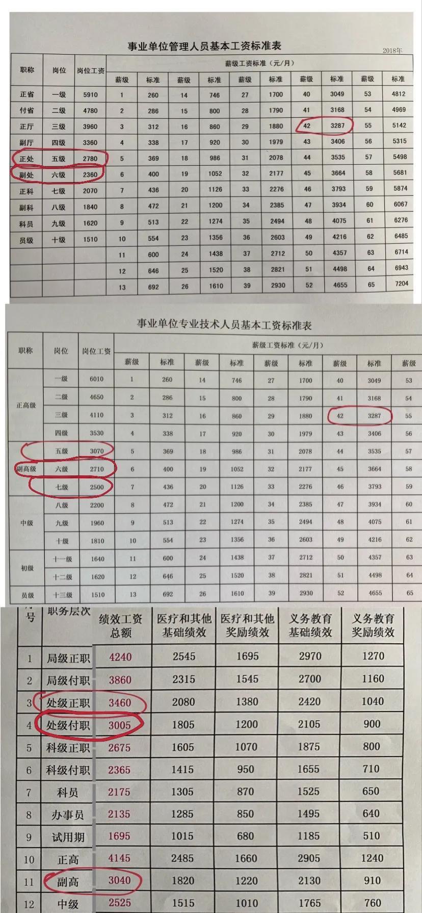 事业编职位名称深度探索与理解