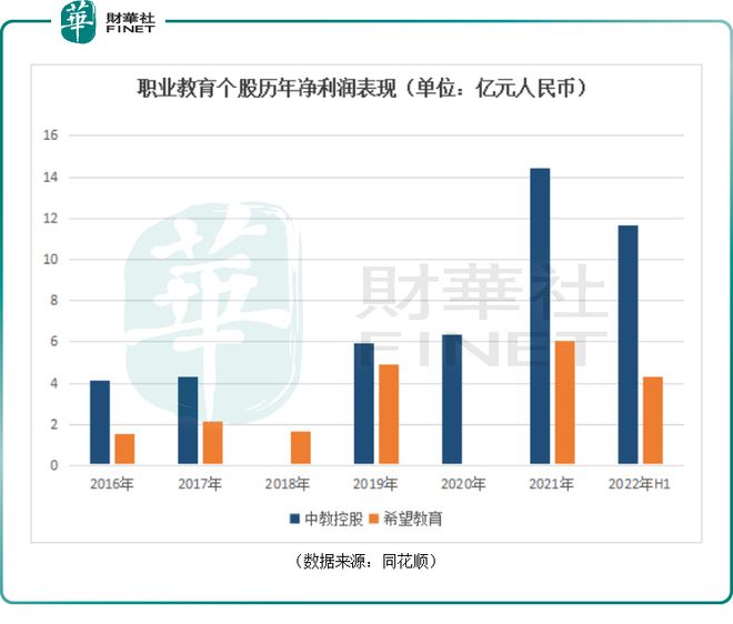 教育培训板块龙头股，引领行业变革的核心力量