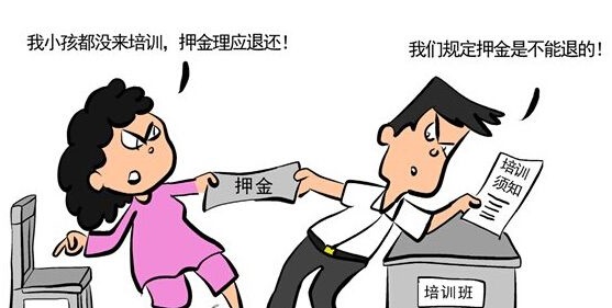 教育培训报名费退款政策全面解析