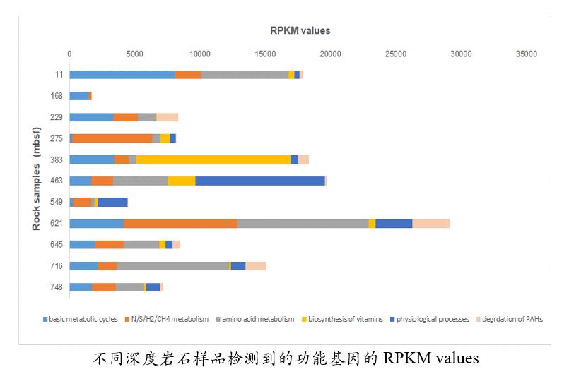 国际顶级学术期刊排名榜单，揭示学术卓越新纪元