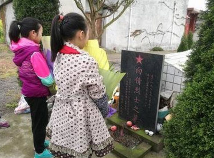 社会反思与行动呼吁，烈士家属祭奠遭拒，无奈打洞进小学上坟事件引发关注与讨论