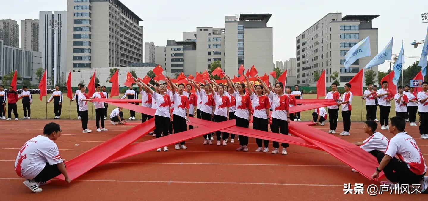 合肥即将开启国家级盛会，城市繁荣与科技创新的新篇章