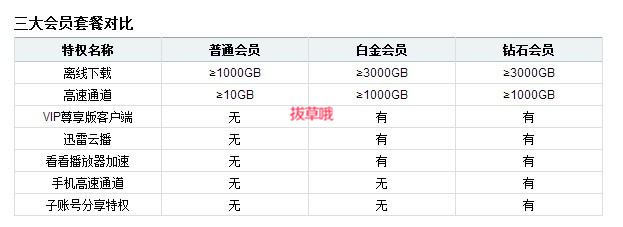 迅雷会员数量公布，揭示数字背后的趋势与洞察力