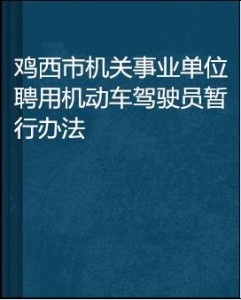 机关事业单位驾驶员模拟题的重要性及其深远影响