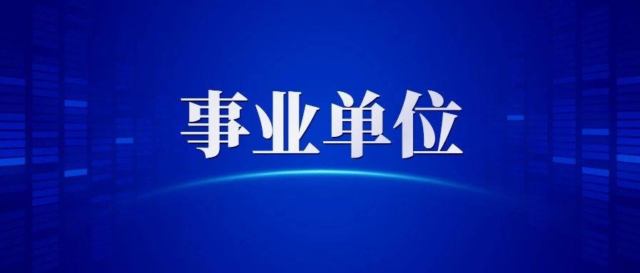 事业编公共基础知识直播课程，高效备考必备内容