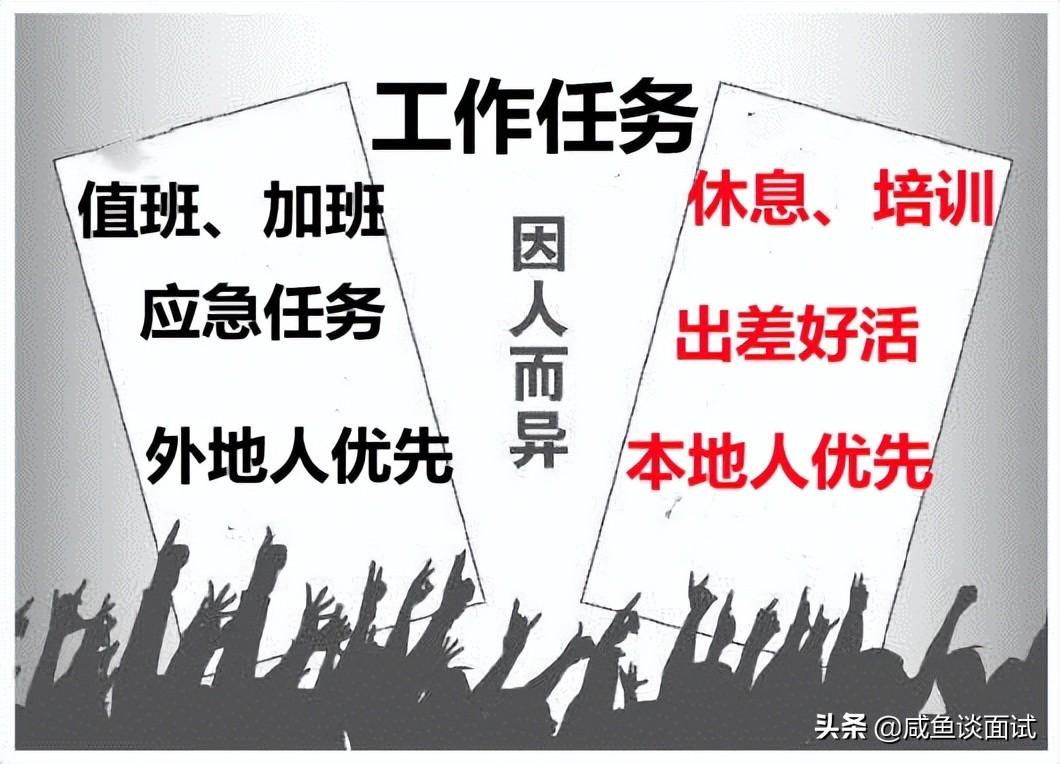 事业编成功上岸秘籍，从备考到胜利的全面指南分享