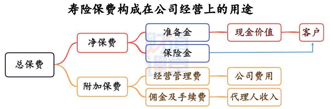 某险企分公司首日保费破亿，业绩飙升背后的策略洞察