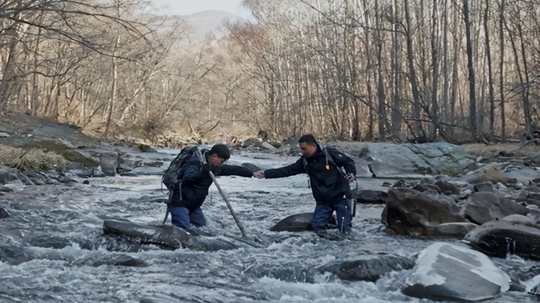 吉林挖机师傅偶遇老虎巡山，人性光辉闪耀，生态警示引人深思