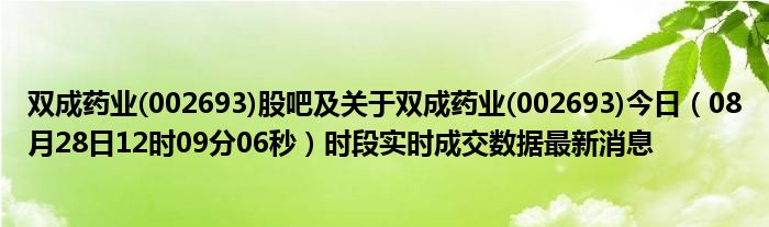 双成药业，业务范畴与发展路径探究