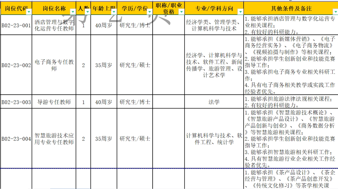 事业单位信息技术岗位，职责、挑战与未来展望分析