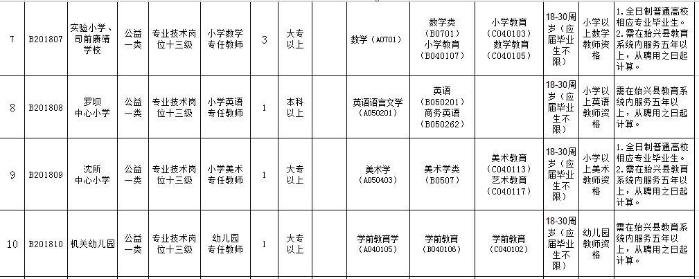 政府信息技术岗位，角色、职责与未来发展趋势