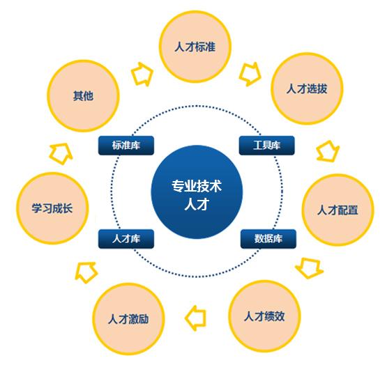 事业单位信息技术领域的探索与实践之路