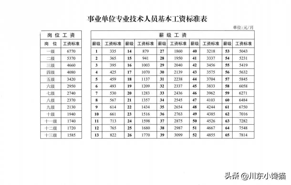 事业编信息技术岗位分类与特色概述