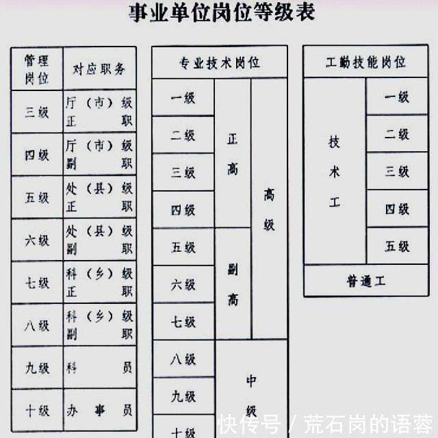 事业单位信息技术岗分类与角色定位解析