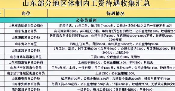 事业编制财务岗位待遇深度解析及前景展望