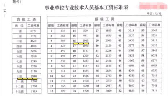 事业单位招聘网官网最新动态解析，迎接2024招聘季的挑战与机遇