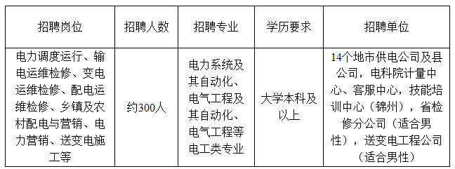 最新事业编电力行业招聘启事概览