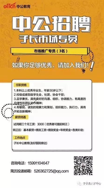 中公教育招聘网最新招聘动态深度解读与解析