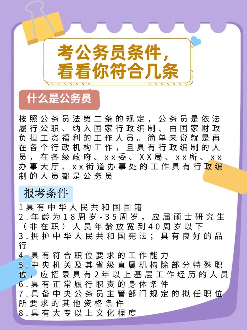 全面解析公务员报考条件与标准，考公必备指南