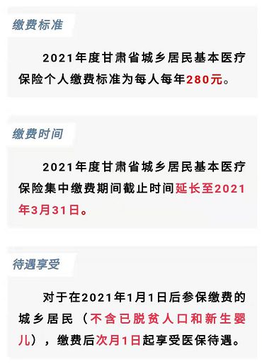 农保缴费截止日期深度解析，了解时间节点与影响的重要性