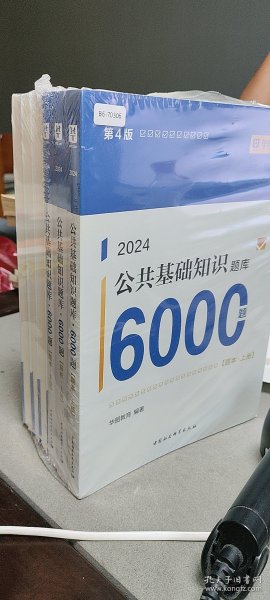 公共基础知识题库构建与解析指南（面向2024年）