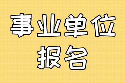 事业编报考官网，实现职业梦想的助力平台