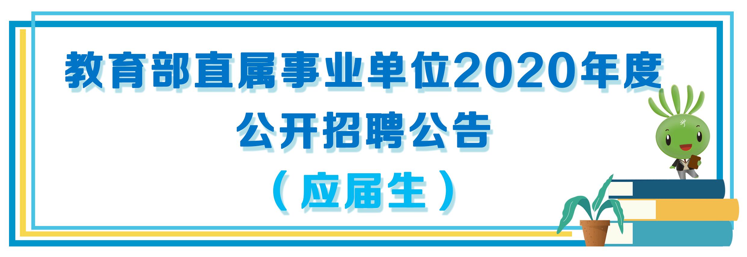 应届生视角，事业编之路的机遇与挑战