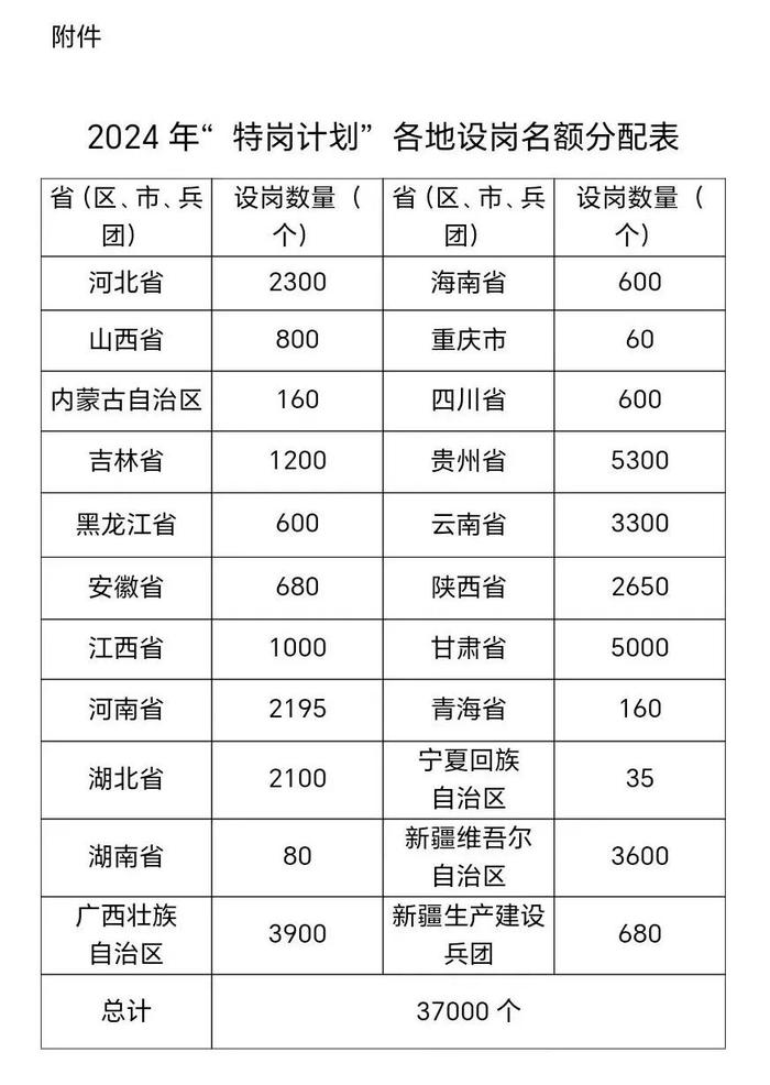 未来教育展望，教师入编计划启动，迈向2024的全面升级之路