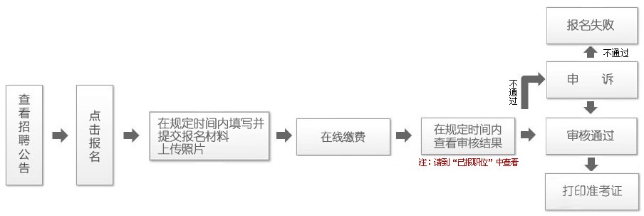 事业单位报名流程详解指南