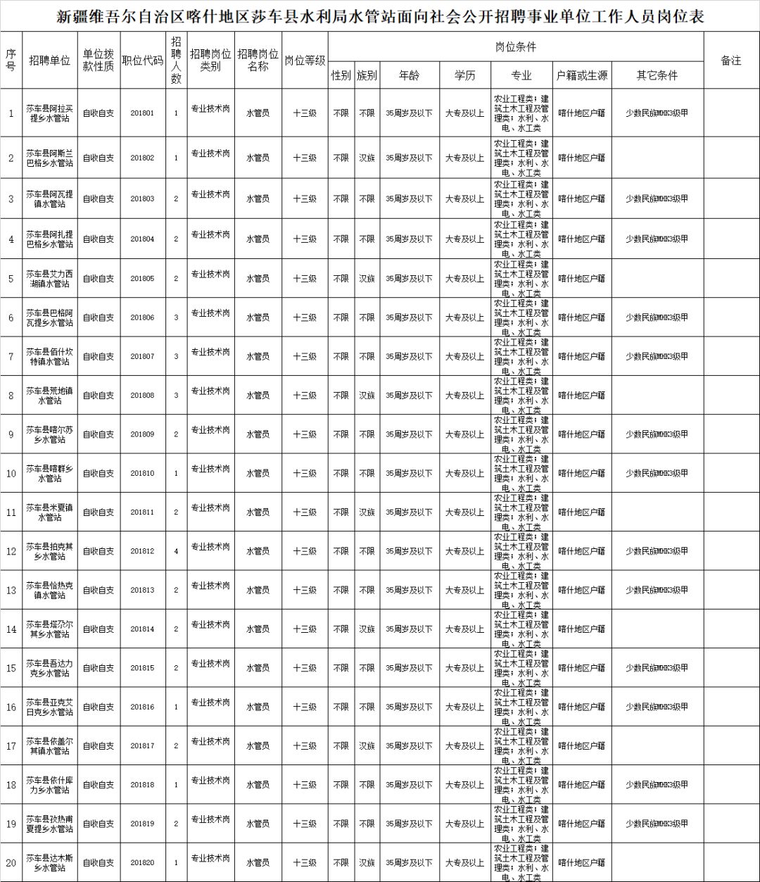 莎车县水利局招聘启事，携手新星，共筑美好家园的水利梦