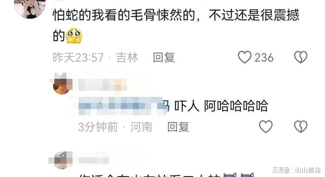 杨丽萍蛇舞，舞动的艺术与跃动的灵魂