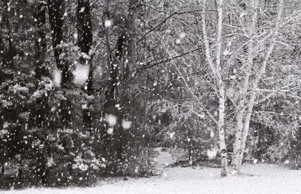 暴雪下的春运回家路，挑战与波折